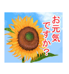 花・動物・風景（個別スタンプ：12）