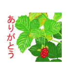 花・動物・風景（個別スタンプ：16）