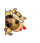 可愛いヨーキー's（個別スタンプ：6）