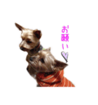 可愛いヨーキー's（個別スタンプ：8）