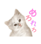 しぴぱふおばちゃん2（個別スタンプ：10）