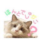 しぴぱふおばちゃん2（個別スタンプ：15）