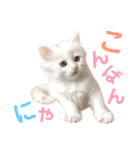 しぴぱふおばちゃん2（個別スタンプ：23）
