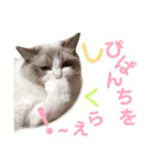 しぴぱふおばちゃん2（個別スタンプ：30）