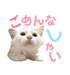 しぴぱふおばちゃん2（個別スタンプ：31）