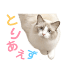 しぴぱふおばちゃん2（個別スタンプ：32）