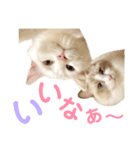 しぴぱふおばちゃん2（個別スタンプ：35）