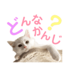 しぴぱふおばちゃん2（個別スタンプ：36）
