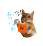 ココの日常物語（個別スタンプ：2）