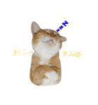 ココの日常物語（個別スタンプ：7）