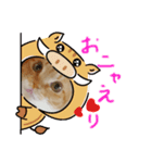 ココの日常物語（個別スタンプ：8）