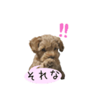 マルプーマロンのスタンプ 2（個別スタンプ：3）