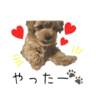 マルプーマロンのスタンプ 2（個別スタンプ：6）