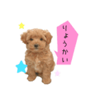マルプーマロンのスタンプ 2（個別スタンプ：7）