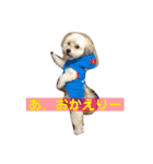 チョコチョコスタンプ（個別スタンプ：5）