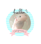 うぱぱ（個別スタンプ：1）