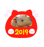 うぱぱ（個別スタンプ：3）