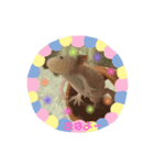 うぱぱ（個別スタンプ：5）