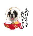 せんとくんスタンプ（個別スタンプ：6）
