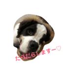 せんとくんスタンプ（個別スタンプ：8）