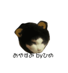 猫のヒメちゃん（個別スタンプ：2）