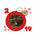 お正月用スタンプです（個別スタンプ：2）