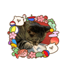 お正月用スタンプです（個別スタンプ：5）