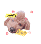 ちっぷ✨（個別スタンプ：4）