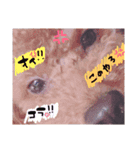 ちっぷ✨（個別スタンプ：10）
