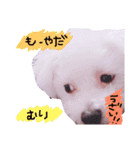 ちっぷ✨（個別スタンプ：13）