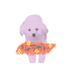 ちっぷ✨（個別スタンプ：16）