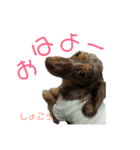 しょこらのスタンプ（個別スタンプ：2）