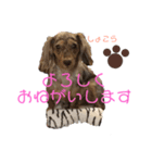 しょこらのスタンプ（個別スタンプ：6）