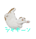 かんたろうスタンプ（個別スタンプ：9）