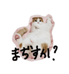 かんたろうスタンプ（個別スタンプ：10）