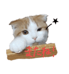 かんたろうスタンプ（個別スタンプ：16）