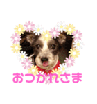 ミミ子の日常スタンプ（個別スタンプ：2）