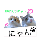にゃんこず スタンプ（個別スタンプ：5）