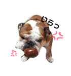 バルちゃん、時々そらとむさし。（個別スタンプ：23）