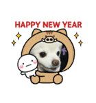 よんよんあけおめ（個別スタンプ：3）