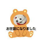 よんよんあけおめ（個別スタンプ：4）