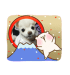 よんよんあけおめ（個別スタンプ：12）