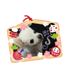 よんよんあけおめ（個別スタンプ：13）