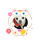 よんよんあけおめ（個別スタンプ：16）