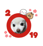 よんよんあけおめ（個別スタンプ：20）