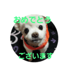 よんよんあけおめ（個別スタンプ：28）