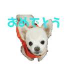 よんよんあけおめ（個別スタンプ：30）