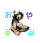 わんず。（個別スタンプ：7）