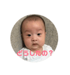 もちはる②（個別スタンプ：15）