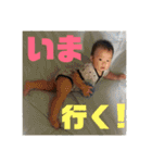 もちはる②（個別スタンプ：30）